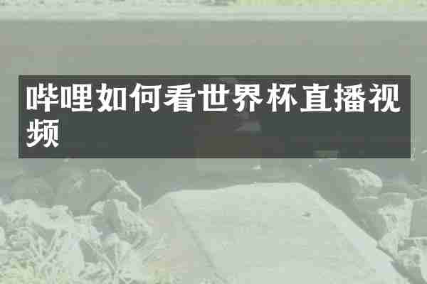 哔哩如何看世界杯直播视频