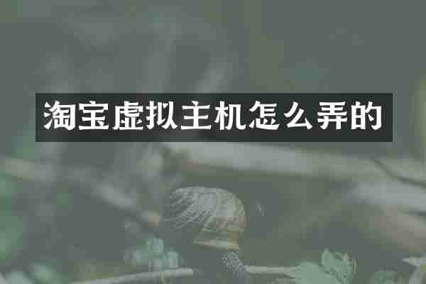 淘宝虚拟主机怎么弄的