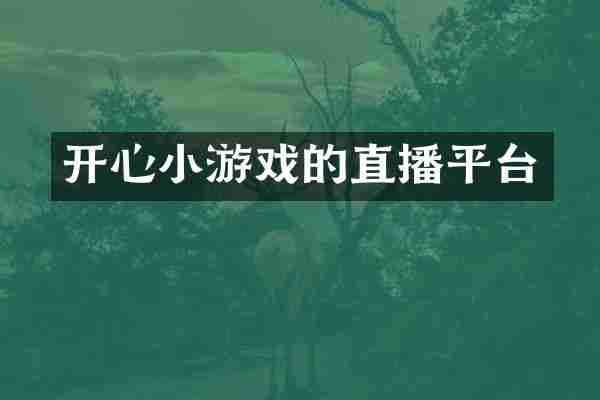 开心小游戏的直播平台