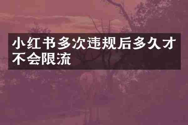 小红书多次违规后多久才不会限流