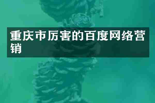重庆市厉害的百度网络营销