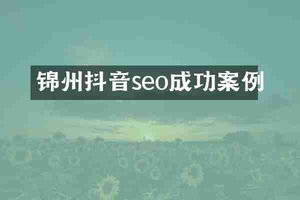 锦州抖音seo成功案例