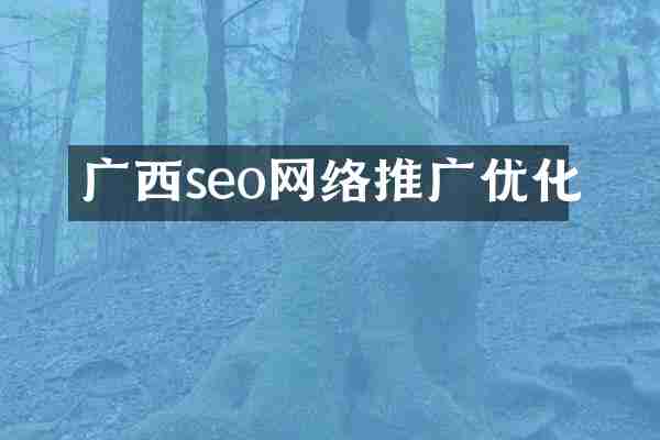 广西seo网络推广优化