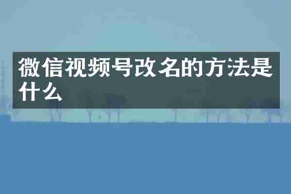 微信视频号改名的方法是什么