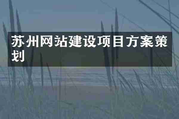 苏州网站建设项目方案策划