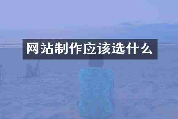 网站制作应该选什么