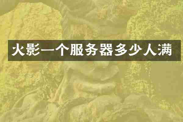 火影一个服务器多少人满