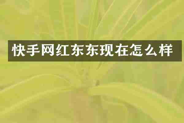 快手网红东东现在怎么样