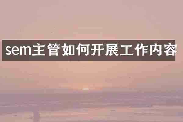 sem主管如何开展工作内容