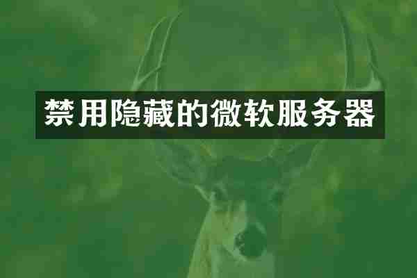禁用隐藏的微软服务器