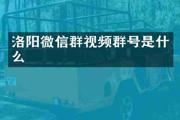 洛阳微信群视频群号是什么