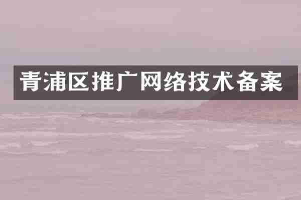 青浦区推广网络技术备案