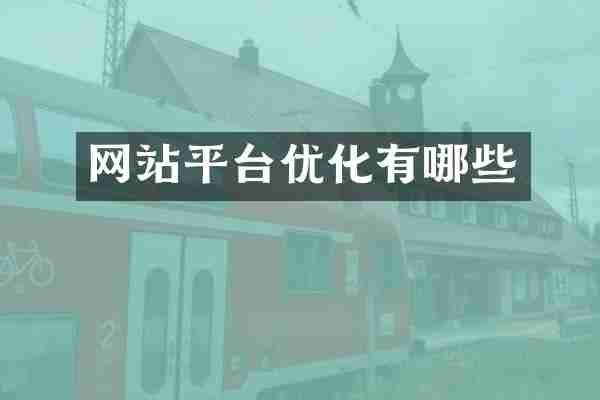 网站平台优化有哪些