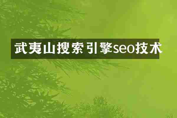 武夷山搜索引擎seo技术