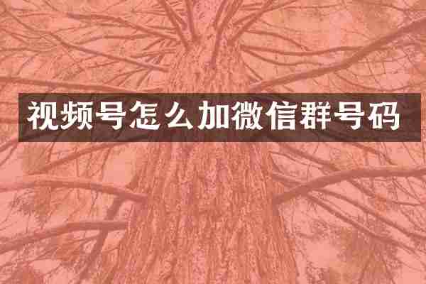 视频号怎么加微信群号码