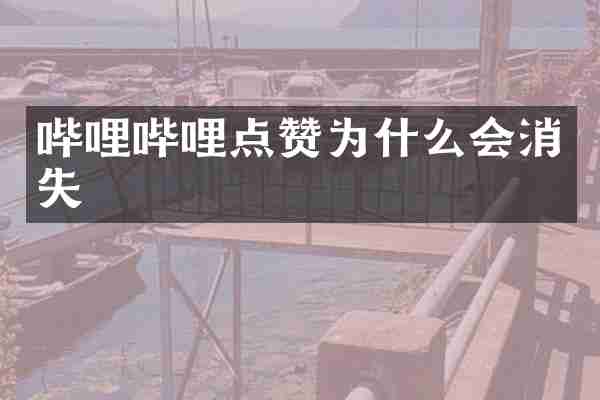 哔哩哔哩点赞为什么会消失