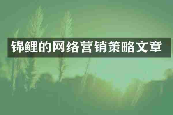 锦鲤的网络营销策略文章