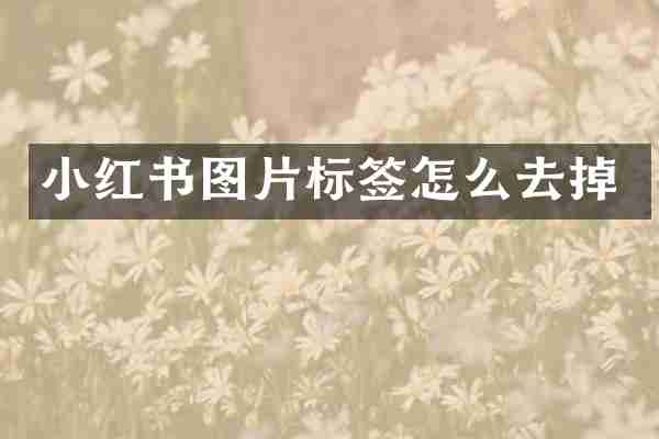 小红书图片标签怎么去掉