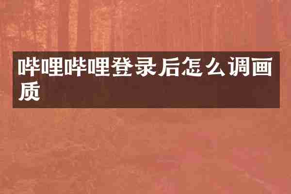 哔哩哔哩登录后怎么调画质