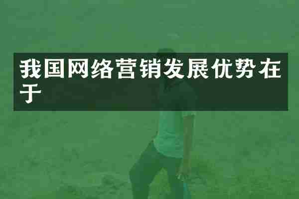 我国网络营销发展优势在于