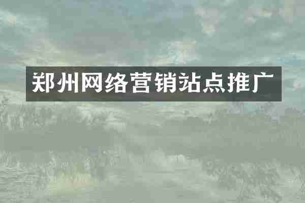 郑州网络营销站点推广