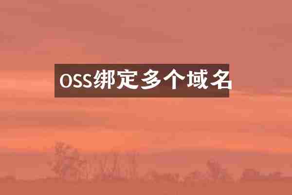 oss绑定多个域名