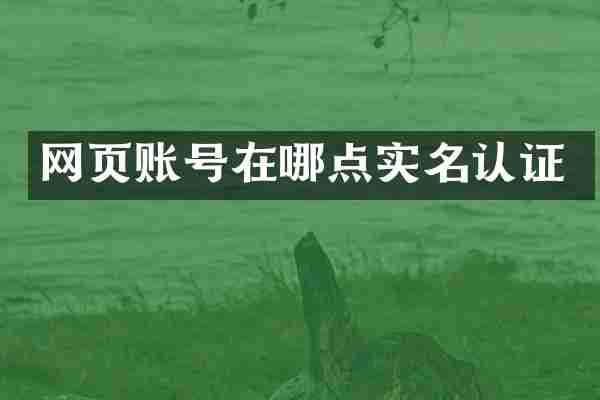 网页账号在哪点实名认证