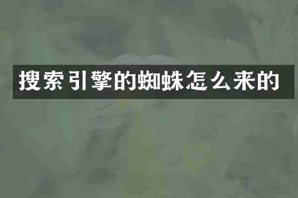 搜索引擎的蜘蛛怎么来的