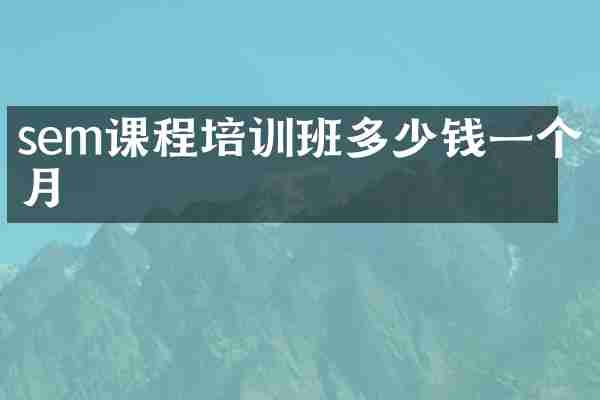 sem课程培训班多少钱一个月