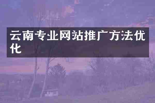 云南专业网站推广方法优化