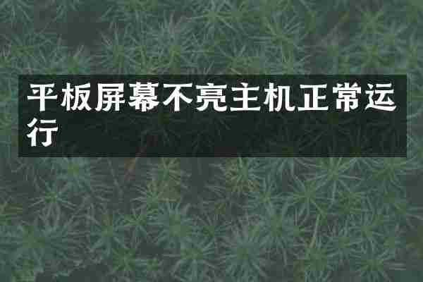 平板屏幕不亮主机正常运行