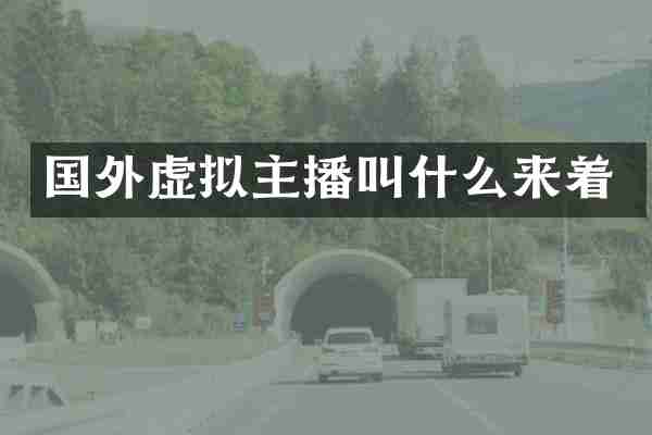 国外虚拟主播叫什么来着
