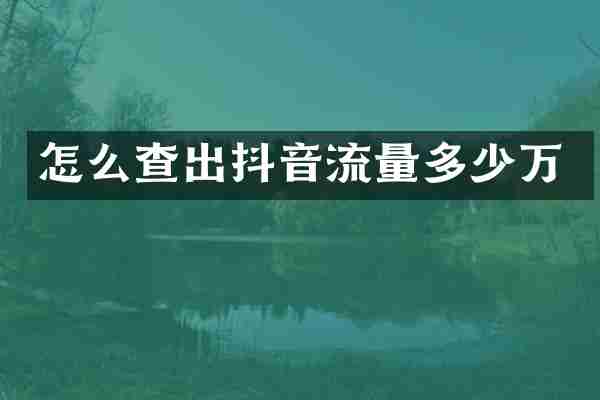 怎么查出抖音流量多少万