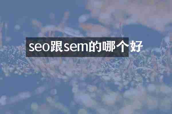 seo跟sem的哪个好