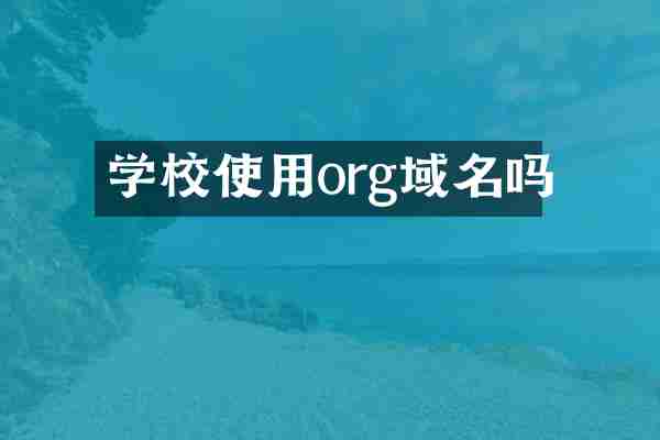 学校使用org域名吗