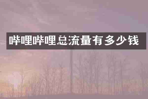 哔哩哔哩总流量有多少钱