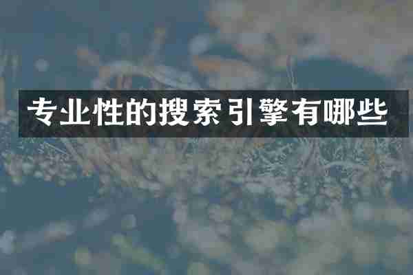 专业性的搜索引擎有哪些