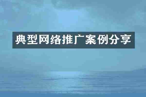 典型网络推广案例分享