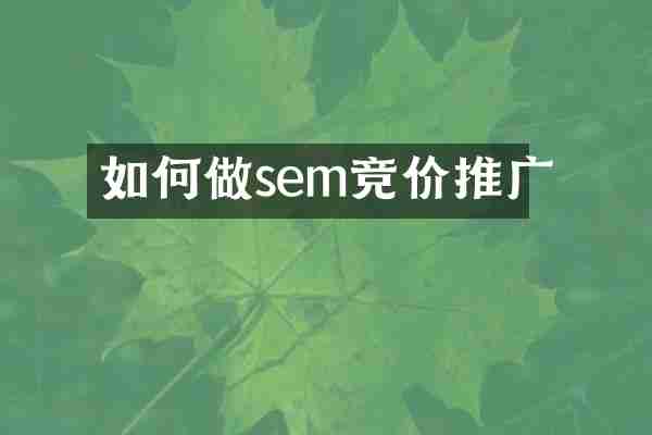 如何做sem竞价推广