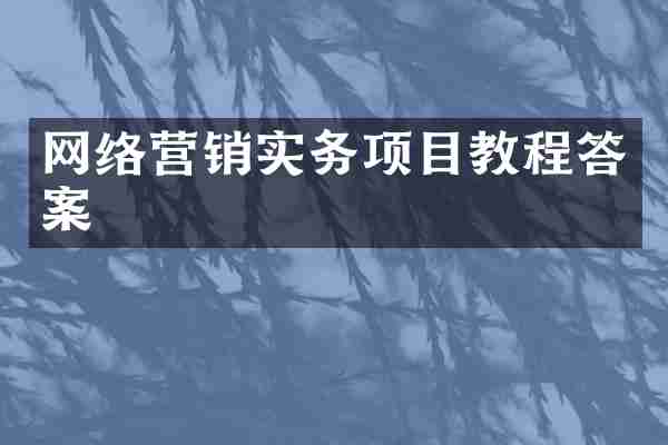 网络营销实务项目教程答案