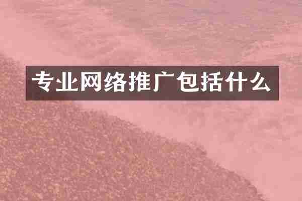 专业网络推广包括什么
