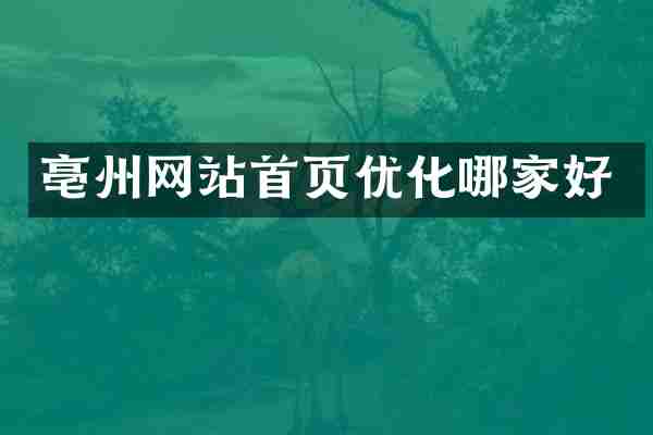 亳州网站首页优化哪家好