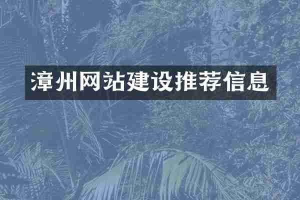 漳州网站建设推荐信息
