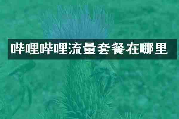 哔哩哔哩流量套餐在哪里