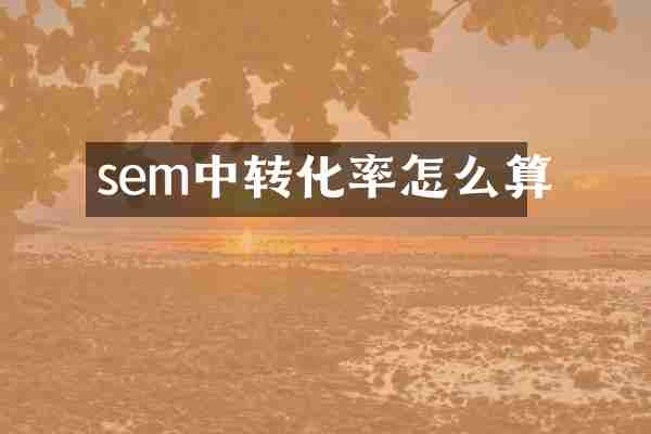sem中转化率怎么算