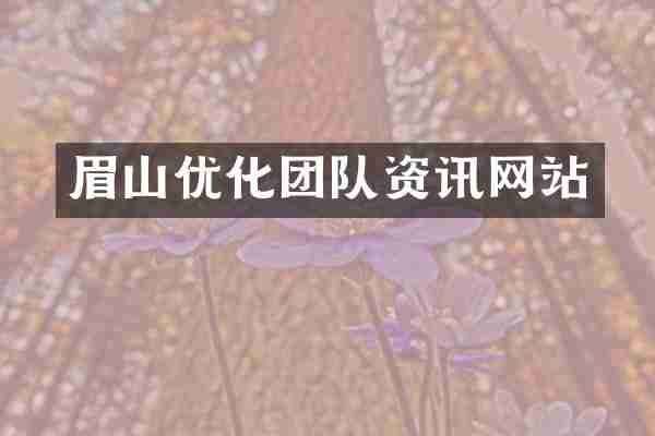 眉山优化团队资讯网站