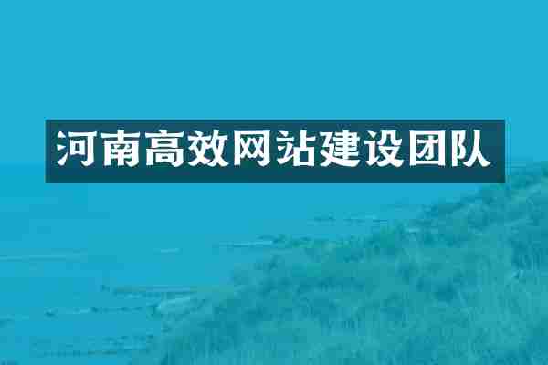 河南高效网站建设团队