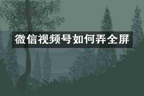 微信视频号如何弄全屏