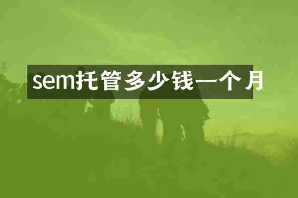 sem托管多少钱一个月