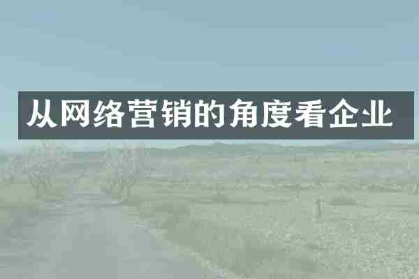 从网络营销的角度看企业